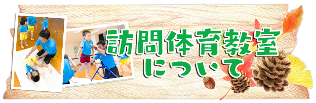 訪問体育教室について